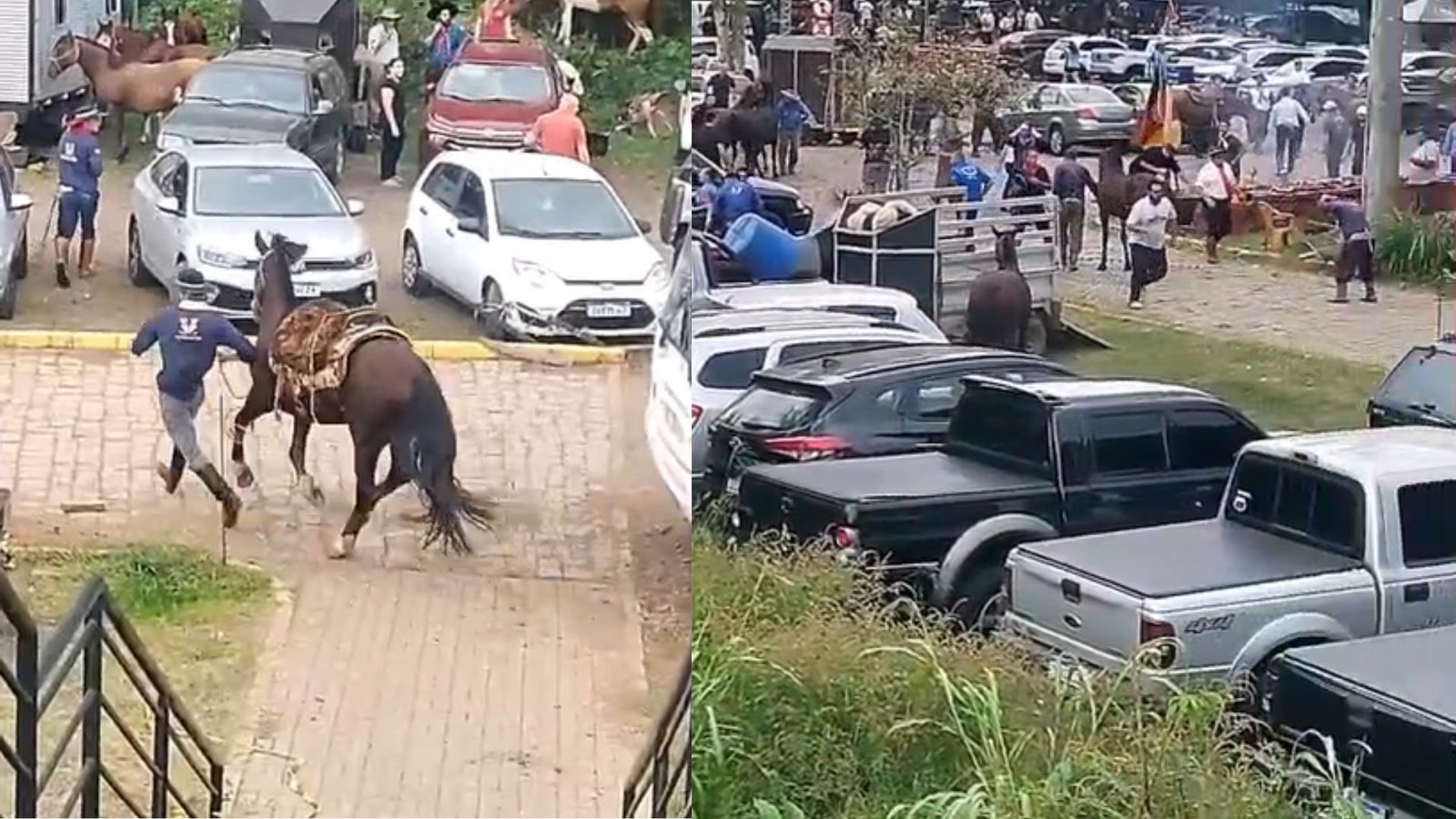 CNN Brasil