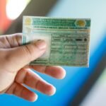 CNH social: tudo o que você precisa saber carteira de habilitação gratuita