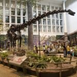Estudo revela dieta de dinossauros gigantes há 150 milhões de ano