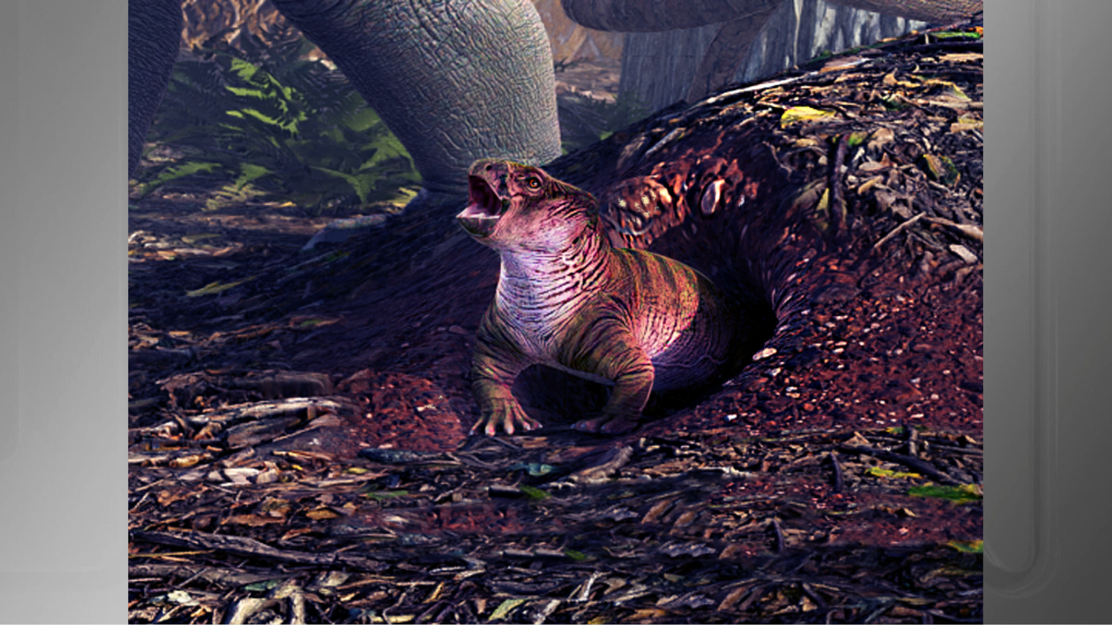 Ressonância magnética de leão mobiliza equipe de mais de 12 pessoas