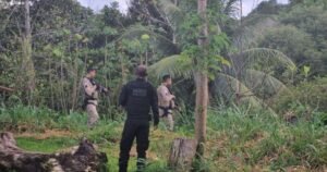 Operação Península: Polícia Federal prende seis pessoas na Bahia