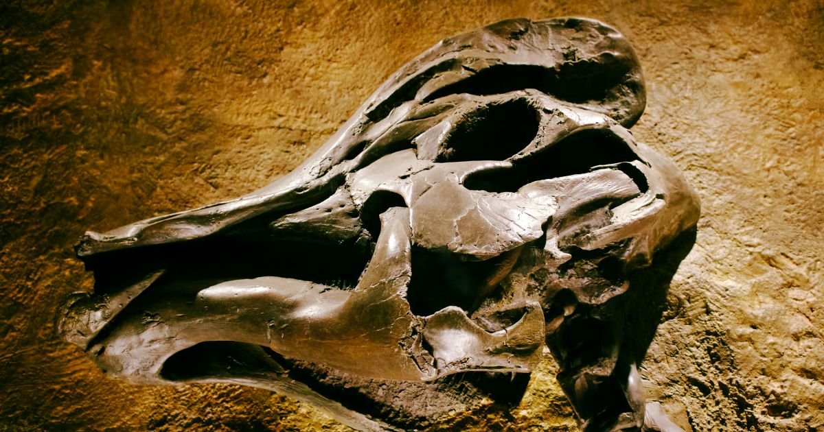 O que a vala comum de dinossauros em Pipestone Creek revela