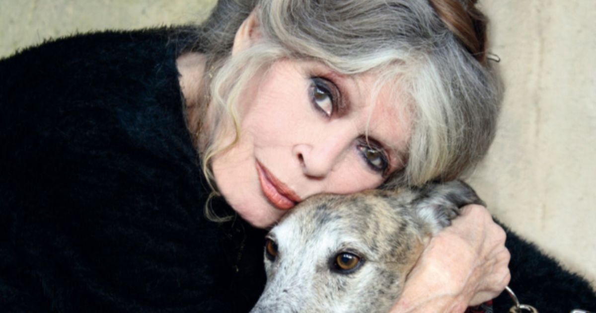 Brigitte Bardot foi defensora dos animais e criou fundação dedicada à causa