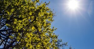 Solstício de verão: entenda por que hoje é o dia mais longo do ano