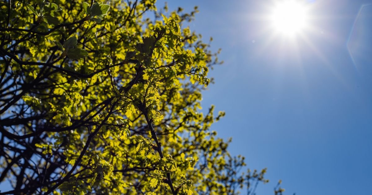 Solstício de verão: entenda por que hoje é o dia mais longo do ano
