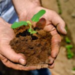 Conab e BNDES investirão R$ 80 milhões em agricultura familiar