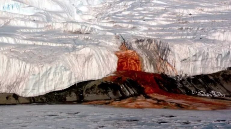 Desvendado o mistério das “Cachoeira de Sangue” na Antártica