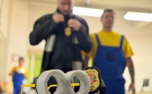 'Meu Malvado Favorito': policiais se vestem de “Minions” e realizam prisões