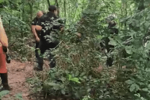 Ossadas são encontradas próximas à Represa Billings, em SP