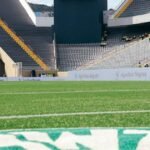 Palmeiras e Fluminense se enfrentam em jogo pela liderança do Brasileiro