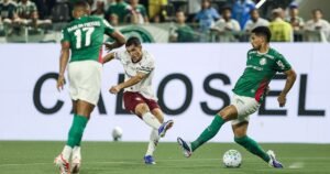 Palmeiras vence Fluminense e volta a assumir liderança do Brasileirão