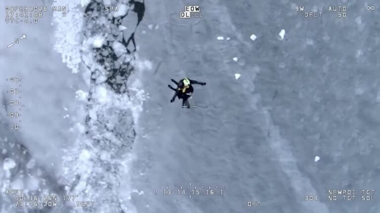 Vídeo: Equipes resgatam homens que caíram no gelo em Nova York