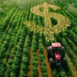 Índice de preços recebidos por produtores dos EUA recua 1,4% em junho