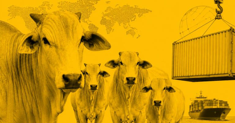 Argentina acelera vendas de carne para a China e atinge 50% da cota
