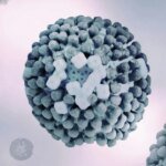 RS e SC registram aumento de casos de SRAG por vírus respiratórios