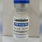 Sete pacientes que receberam polilaminina morreram durante tratamento