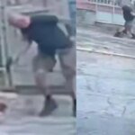 Vídeo: Homem mata cachorro a tiros em rua na zona Norte do Rio