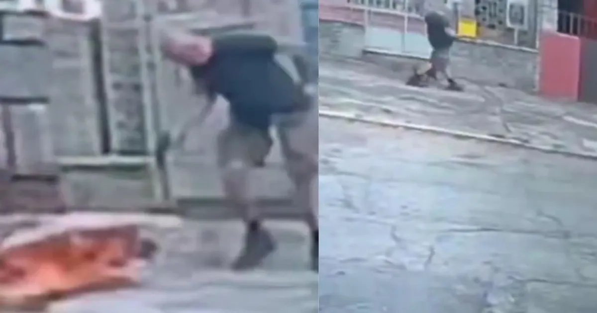 Vídeo: Homem mata cachorro a tiros em rua na zona Norte do Rio