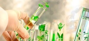 Diplomacia científica no agro pode auxiliar Brasil com barreiras externas