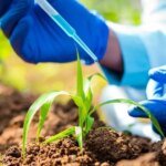 Krilltech capta R$ 22,5 milhões da Finep para desenvolver nanodefensivos